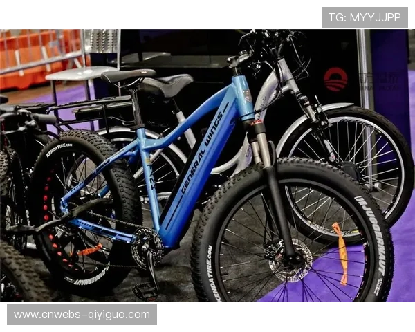 角田裕毅巴西站虚拟安全车下进站策略奏效